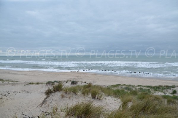 Dunes de la plage Nord de Soulac sur Mer