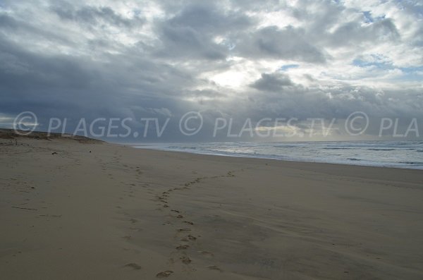 Spiaggia selvaggia in Soustons