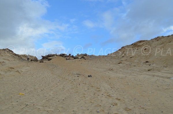 Sentier d'accès à la plage Nord de Soustons