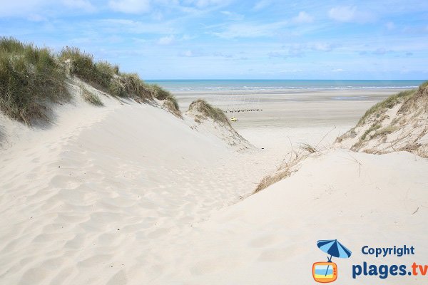 Photo de la plage au nord de Sainte Cécile