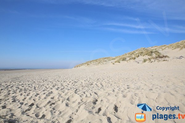 Dunes of Stella-Plage - France