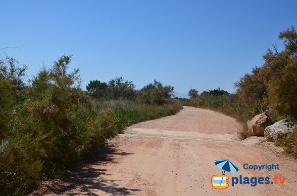  Access road to the northern beaches of Torreilles