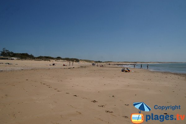 Dunes of Normandelière beach - Vendée - Brétignolles