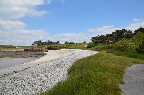 Grass area on the Notinau beach in Camaret sur Mer