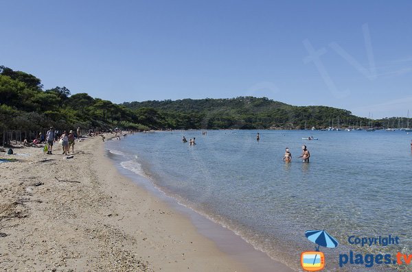 Plage de sable de Notre Dame dans le nord de l'île de Porquerolles