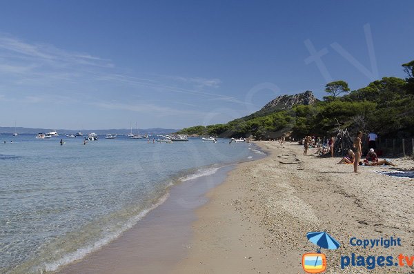 Plage sauvage Notre Dame à Porquerolles