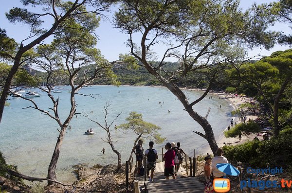  Spiaggia all'ombra sull'isola di Porquerolles