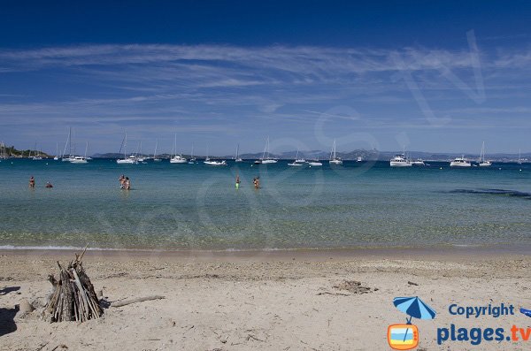 Grande plage de sable à Porquerolles