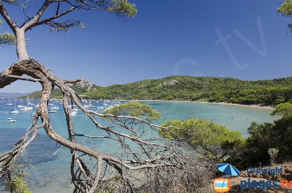 Plage Notre-Dame à Porquerolles dans le Var