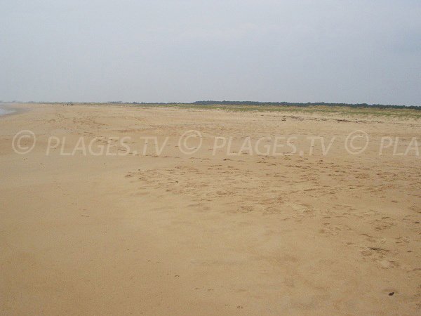 Nudist beach in La Faute sur Mer - France