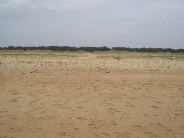 Plage en bordure de la réserve naturelle de La Faute sur Mer