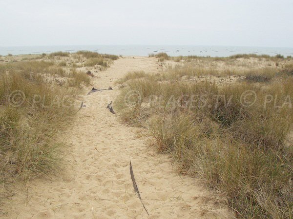 Access to the nudist beach of La Faute sur Mer