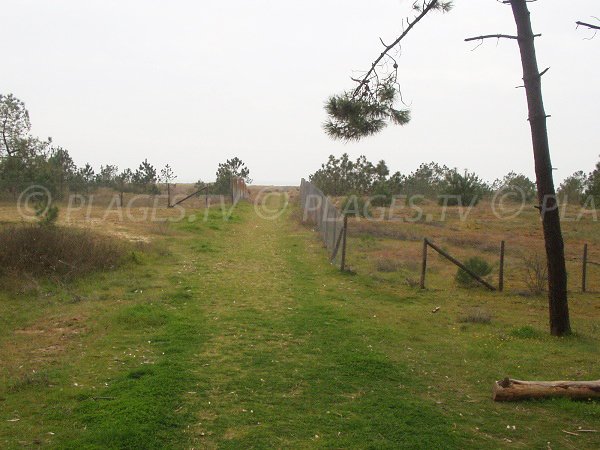 Access to the Arcay beach in La Faute sur Mer