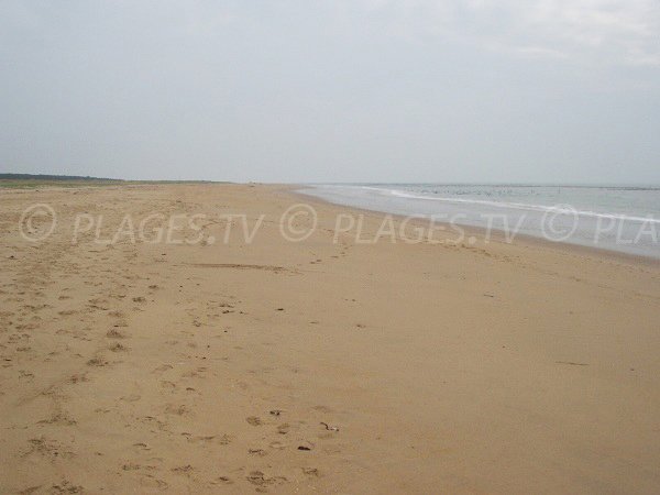 Naturist beach in La Faute sur Mer - France