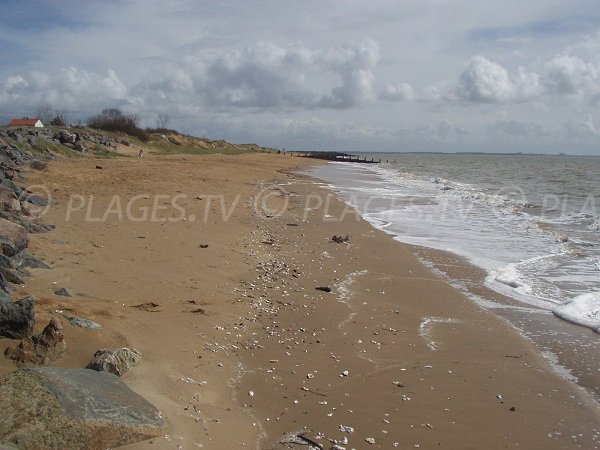 Dunes of Oasis beach in Aiguillon sur Mer