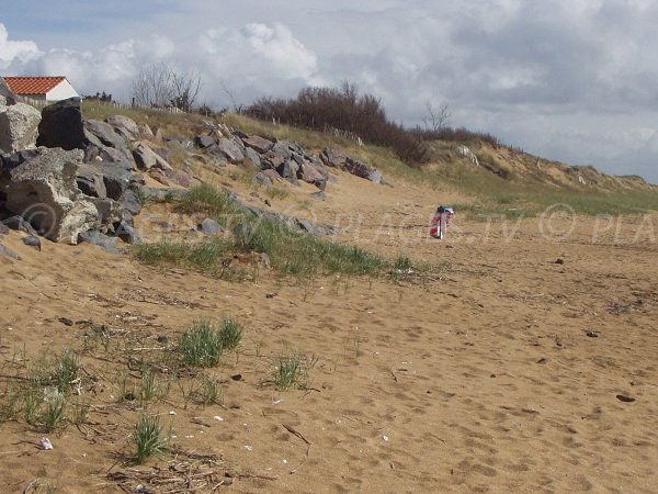 Dune à proximité de la Pointe de l'Aiguillon en Vendée