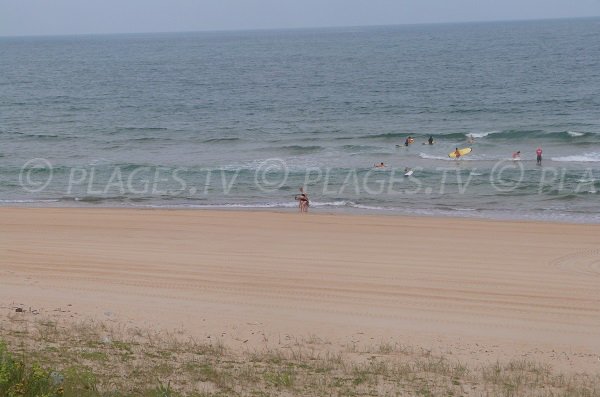 Surfers on the beach of Soustons