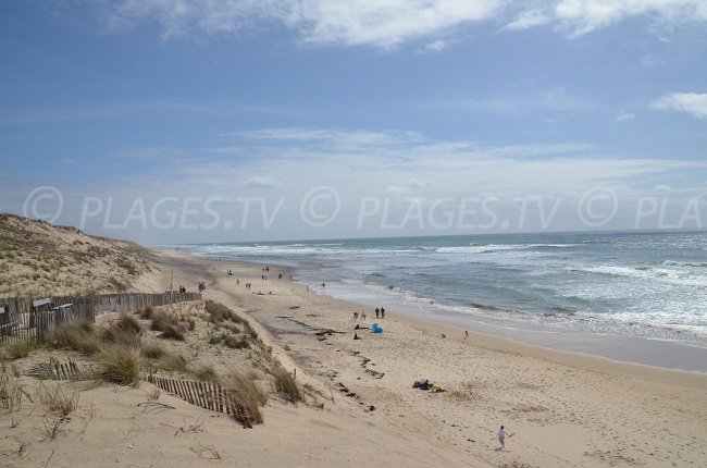 Plage océane de Carcans