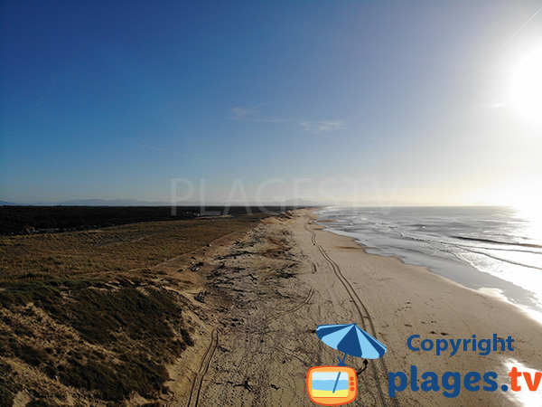 Dunes de la plage des Oceanides à Capbreton