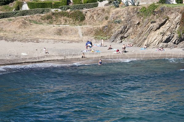 Plage de l'Huile en été à Collioure