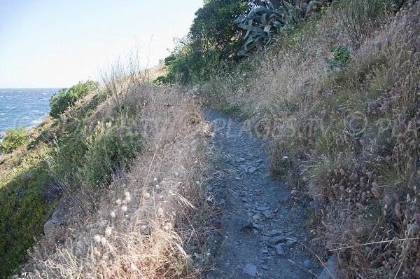 Access to Huile beach in Collioure