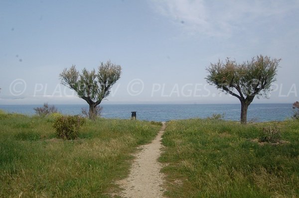 Environnement de la plage d'Olzo à Saint Florent