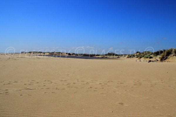 Plage des Orpellières à Sérignan à proximité de Valras