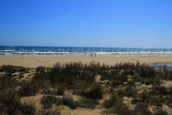 Plage dans la réserve naturelle de Sérignan