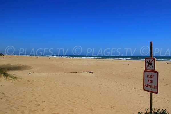 Wild beach in Sérignan - south of France