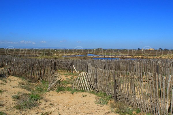 Environnement de la plage à l'ouest de Sérignan