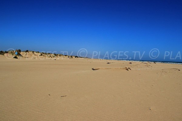 Spiaggia Orpellières a Sérignan in Francia