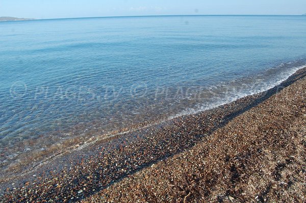 Galets roses sur la plage d'Ospédale