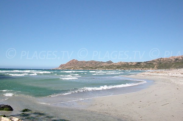 Sand beach in Agriates desert - Ostriconi - Corsica