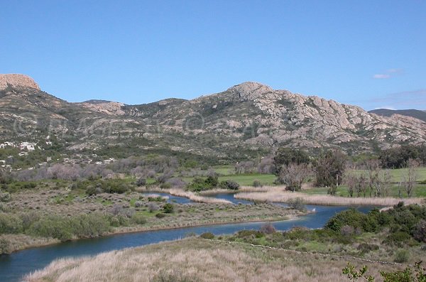 Ostriconi river - Corsica