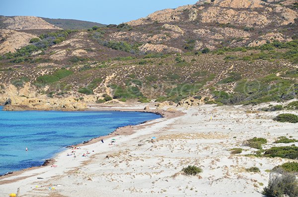 Dunes sur la plage de l'Ostriconi