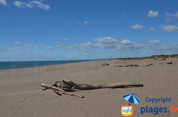 Plage pour les chiens à Portiragnes - Sérignan