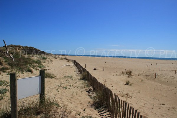 Plage sauvage à Portiragnes dans l'Hérault