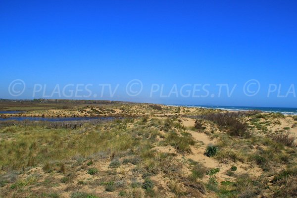 Site naturel de La Grand Maïre à Portiragnes