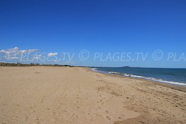 Plage ouest de Portiragnes