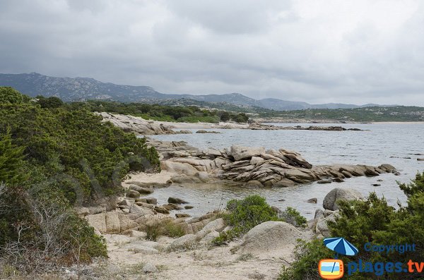 Vue sur la côte de Bonifacio - P3