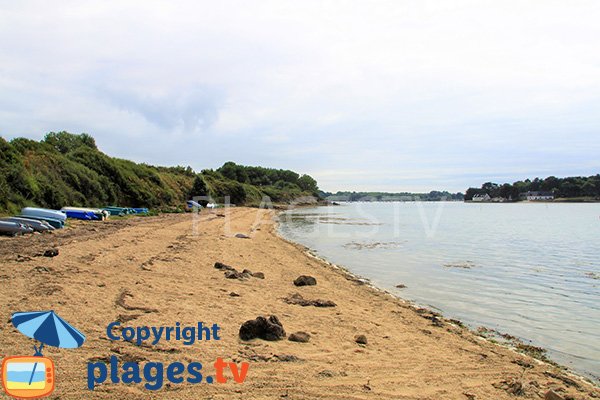 Plage des Ours à Sarzeau