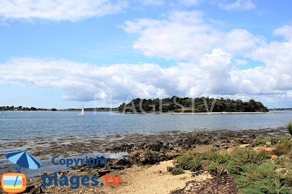 Ile de Stibiden - Golfe du Morbihan