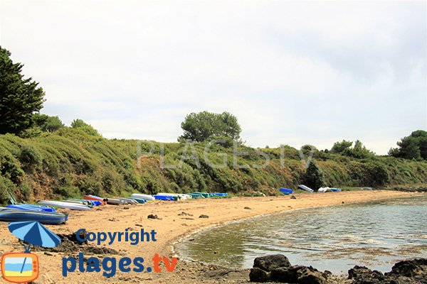 Plage confidentielle à Sarzeaux