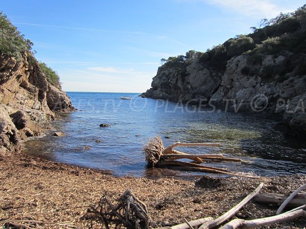 Oustaou de Diou beach in Porquerolles