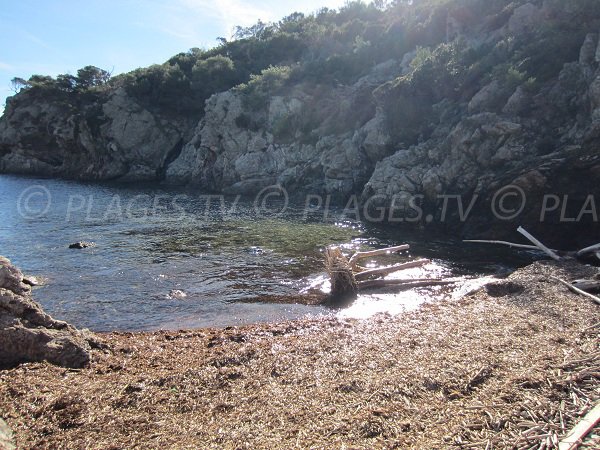 Calanque of Oustaou de Diou in Porquerolles