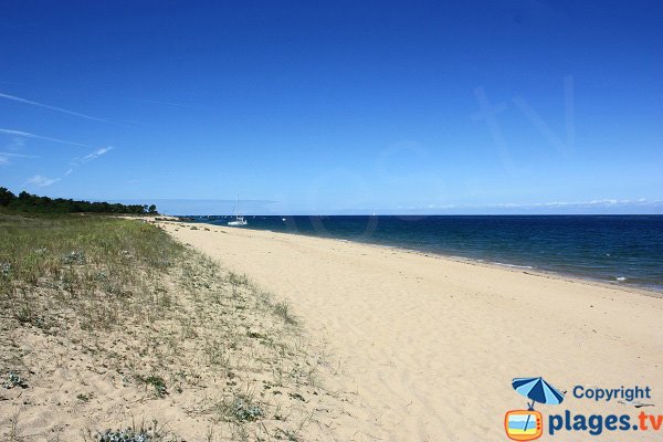 Photo de la plage des Ovaires sur l'ile d'Yeu