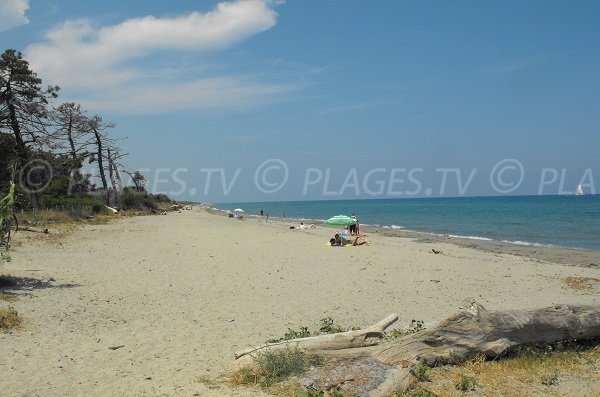 Photo de la plage de Padulone à Aléria - zone nord