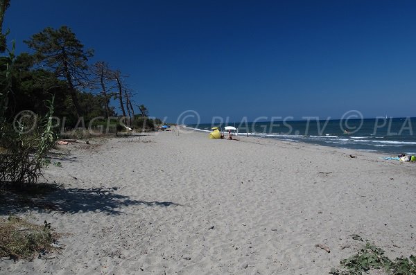 Plage de Padulone en direction de l'étang de Diane - Corse