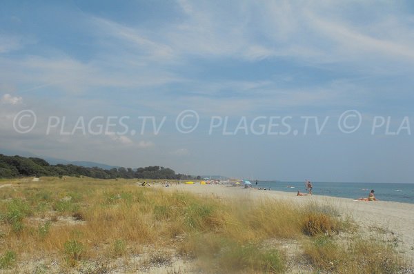 Beach near Port Taverna