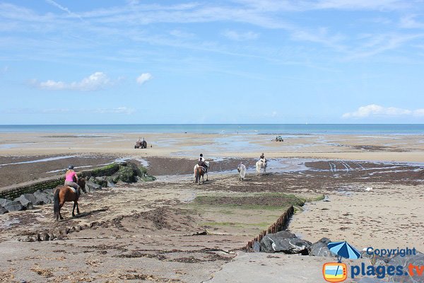 Plage du Paisty Vert à marée basse - Ver sur Mer